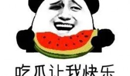今日吃瓜 吃瓜是什么意思,网络流行语背后的趣味与内涵