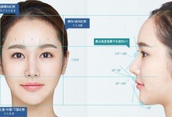 认识面部的轮廓特征是学化妆的重要基础