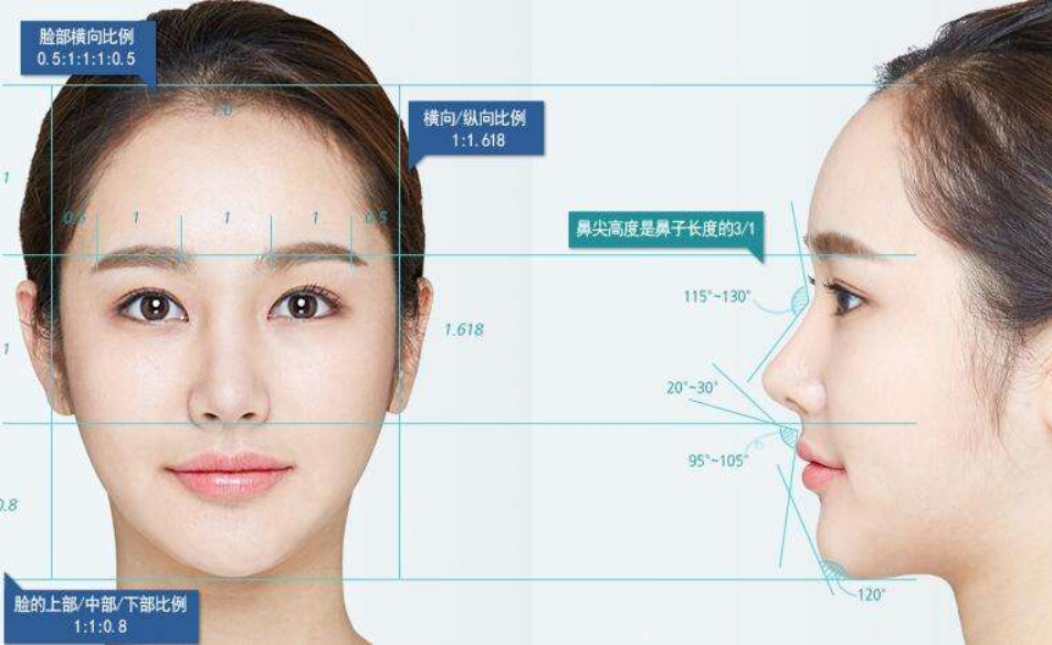认识面部的轮廓特征是学化妆的重要基础  第1张
